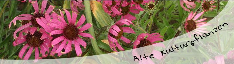 Zufallsbilder - Alte und neue Kulturpflanzen