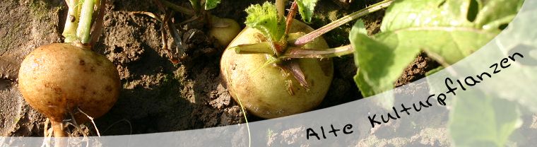Zufallsbilder - Alte und neue Kulturpflanzen