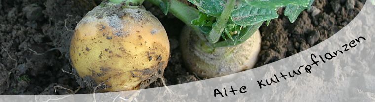 Zufallsbilder - Alte und neue Kulturpflanzen