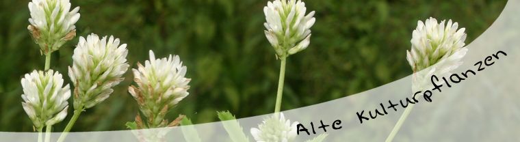 Zufallsbilder - Alte und neue Kulturpflanzen