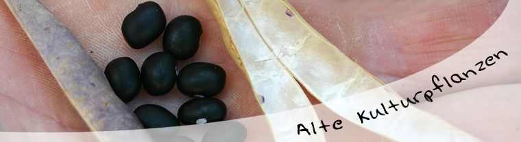 Zufallsbilder - Alte und neue Kulturpflanzen